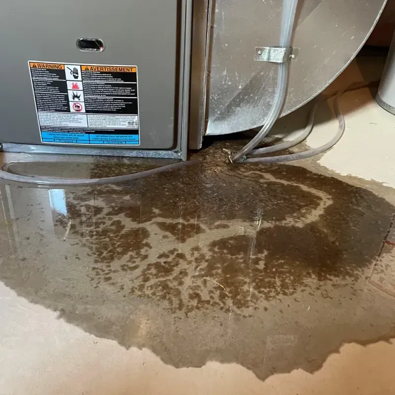 Appliance Leak Cleanup in Henry County, KY